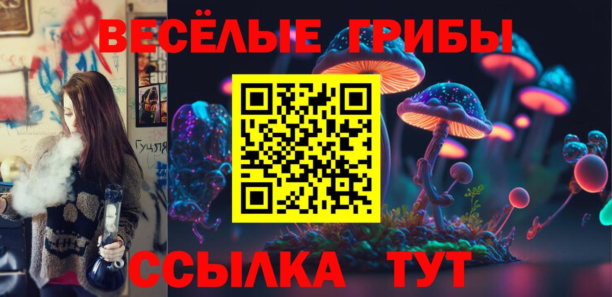 Киржач  Псилоцибиновые грибы Psilocybine cubensis  Вход с VPN 
